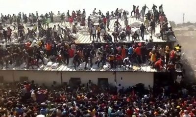 palliative provisions