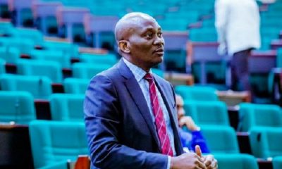 Ndudi Elumelu Opposition Lawmakers