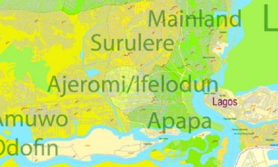 Surulere Council Chairman