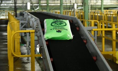 Dangote Fertilizer bag