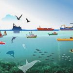 NCSP Urges Stronger Alignment to Unlock Private Capital for Nigeria’s Blue Economy