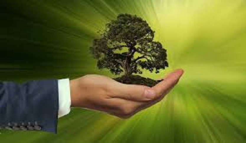 sustainability bonds green bonds