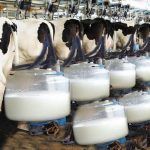 NSIA, Asset Green Sign $496m Deal to Boost Nigeria’s Dairy Industry