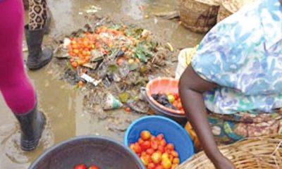 Regulating Food Production