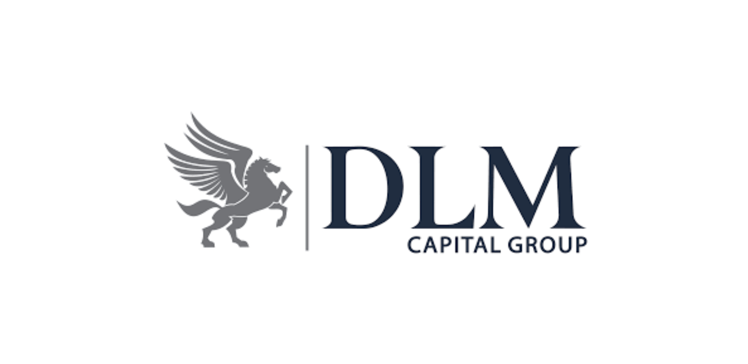 DLM Capital