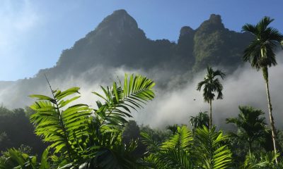 Survival of the Fittest