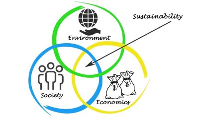 Sustainable Business Practices