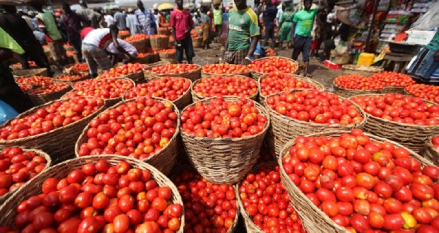 Tomatoes