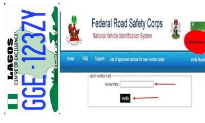 Verify Your Number Plate