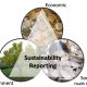 Make Sustainable Reports Mandatory