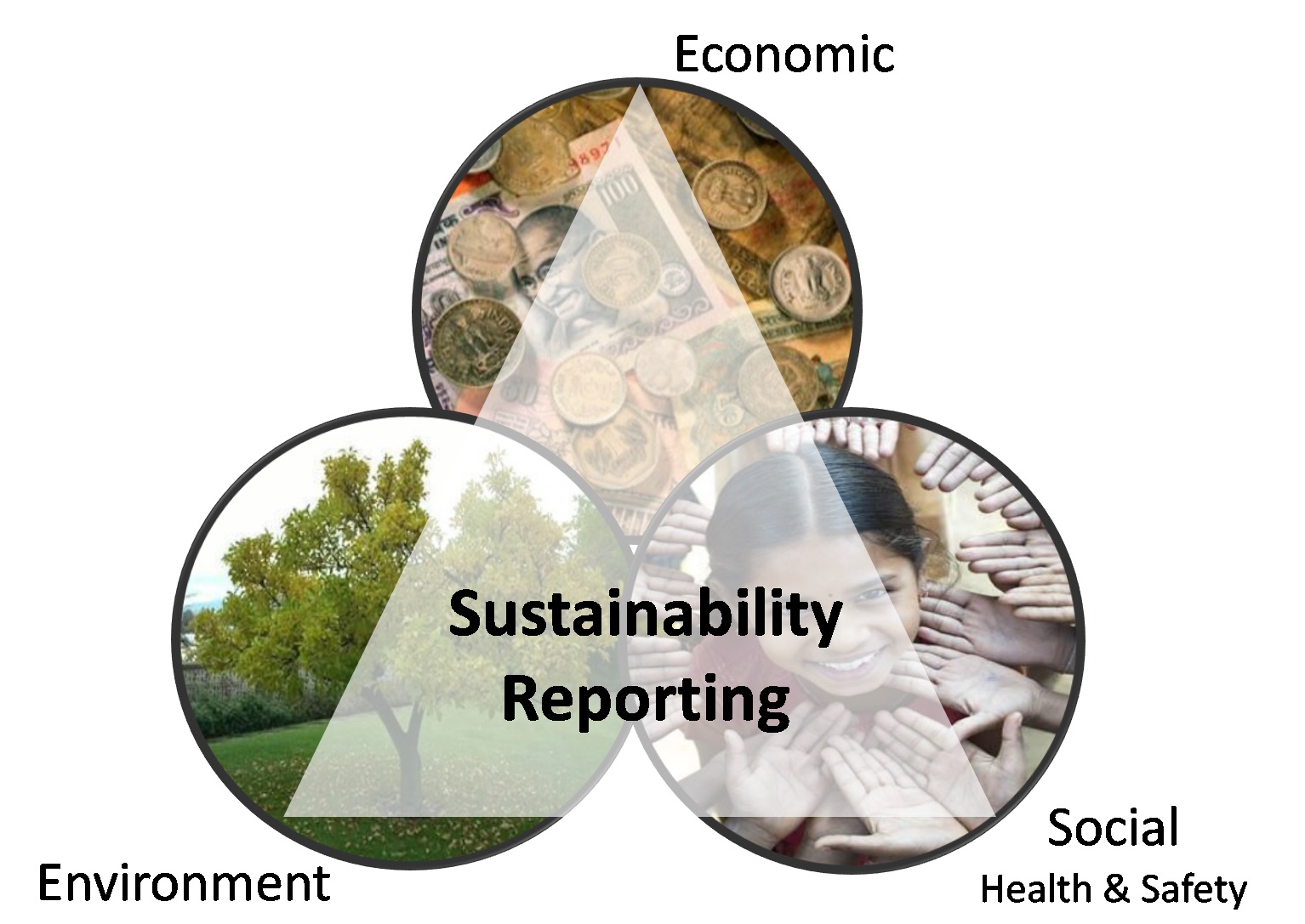 Make Sustainable Reports Mandatory