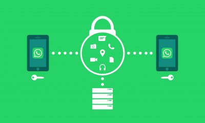 Monitor Nigerians on WhatsApp