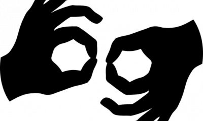 Sign Language Interpreters