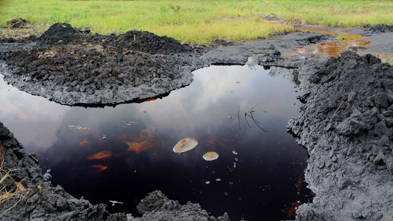 Bayelsa Oil Spill