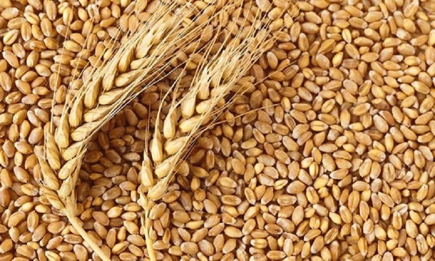 Wheat Importation