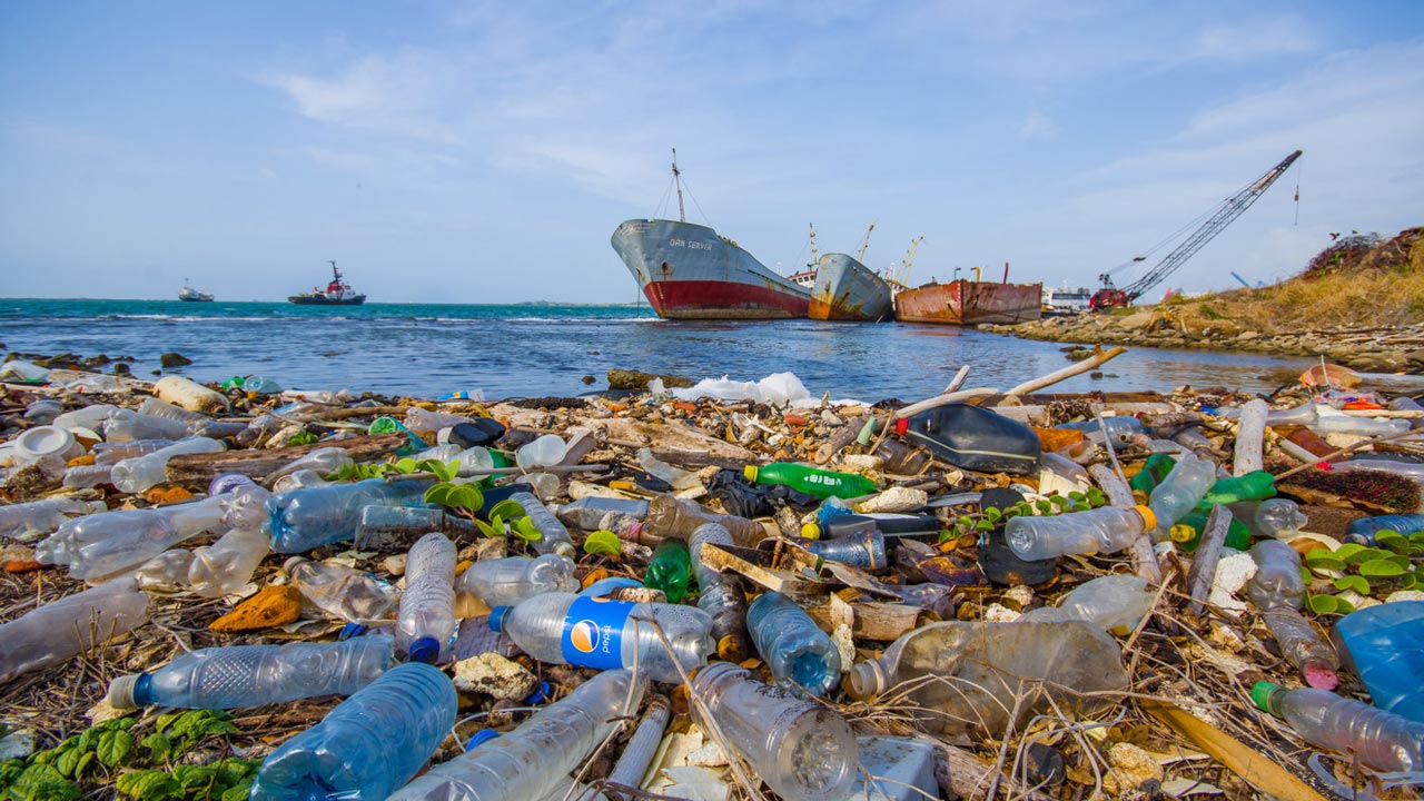 ocean plastic wastes budget