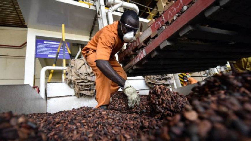 Cocoa Processing Plant