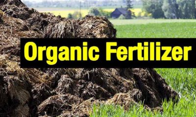 FarmTime Organic Fertilizer Production