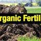 FarmTime Organic Fertilizer Production