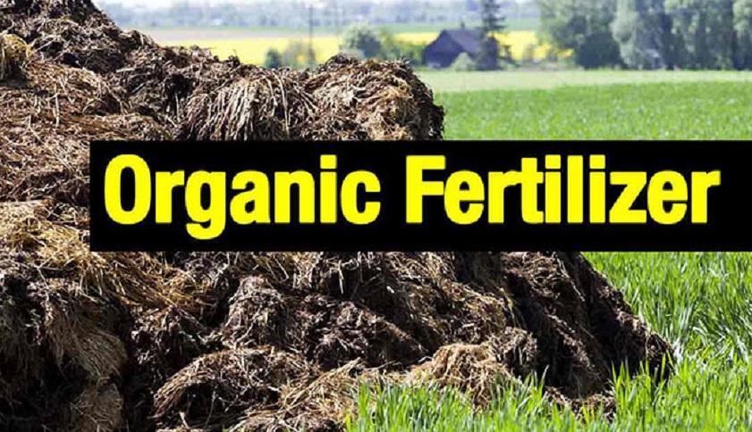 FarmTime Organic Fertilizer Production