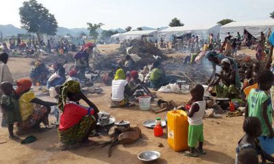 IDP Camps