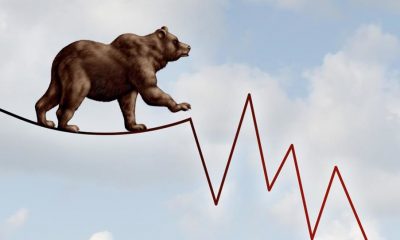 bears stock market