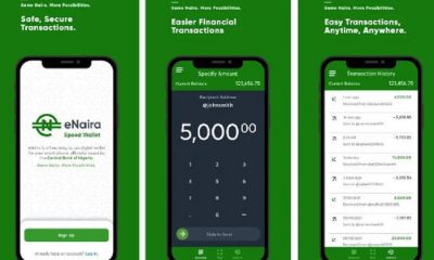 eNaira Wallets