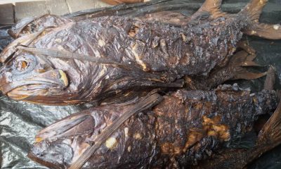 Artisan Fishermen Association of Nigeria ARFAN