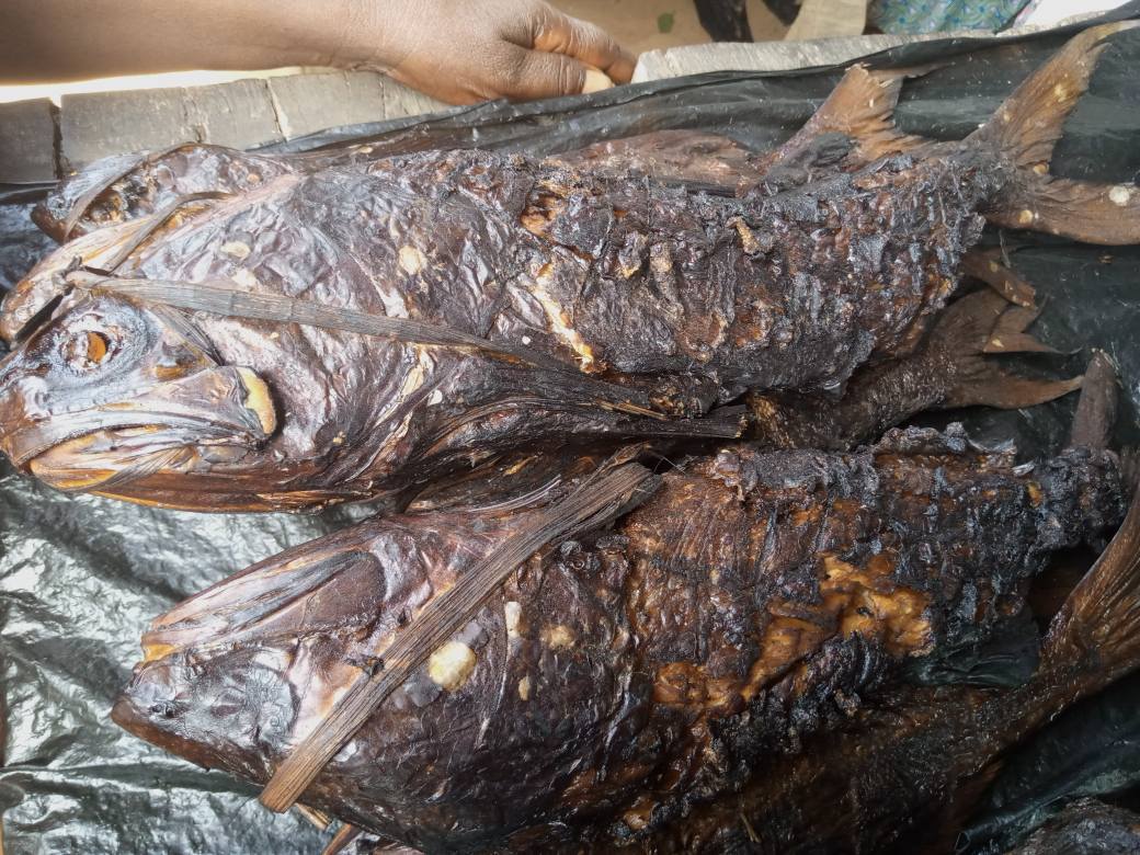 Artisan Fishermen Association of Nigeria ARFAN