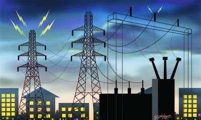 Electricity Sector