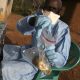 Lassa Fever Outbreak