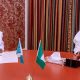 dapo abiodun buhari