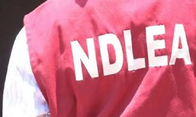 NDLEA drug syndicate