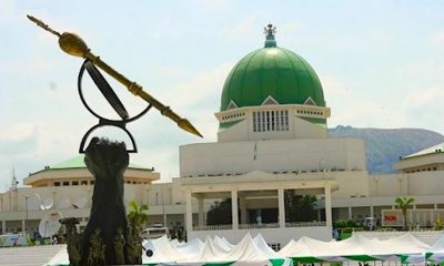 National Assembly NASS