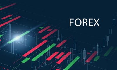 forex market ecosystem