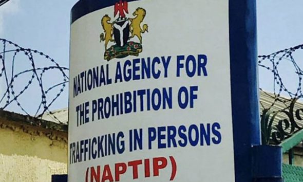 NAPTIP counter-trafficking efforts