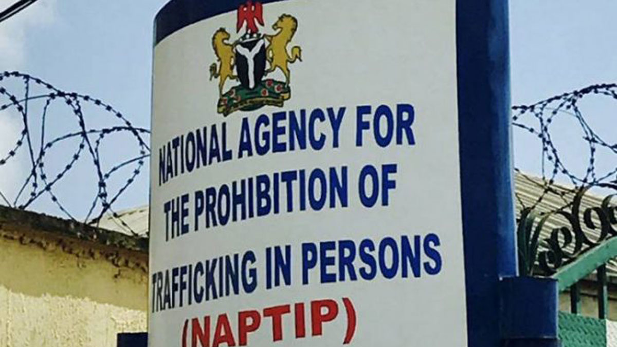 NAPTIP counter-trafficking efforts