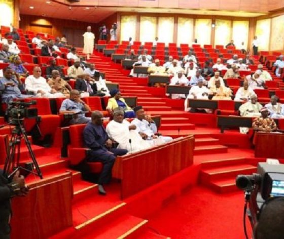 Senate confirms Umar Yahaya