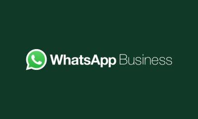 whatsapp business