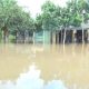 floods in Ondo