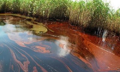 oil spill incidents