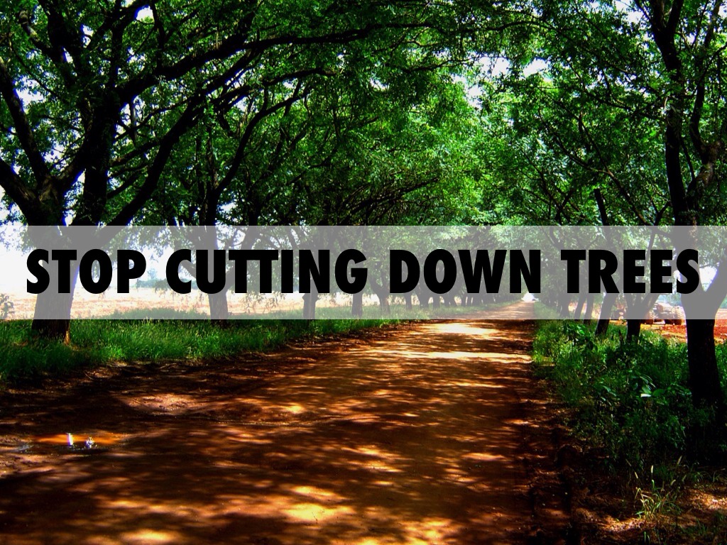 stop cutting trees