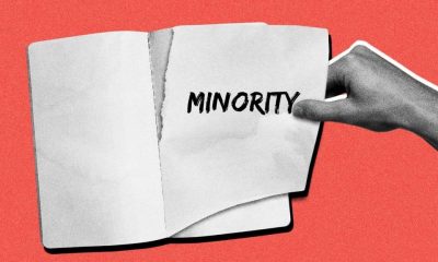 a minority from the south