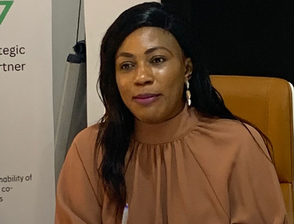 Roseline Ilori more investments in technology