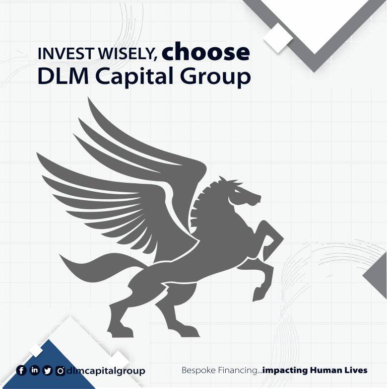 series 5 commercial paper DLM Capital