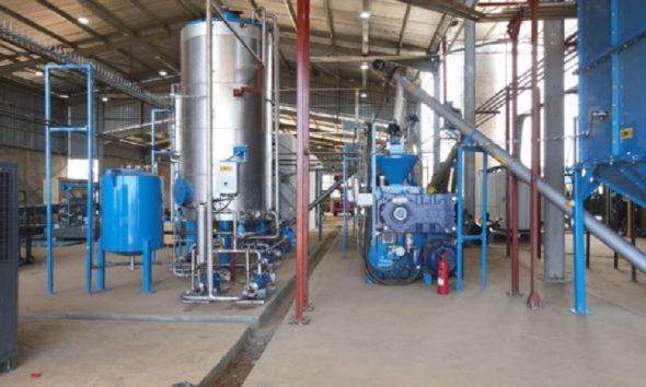 vegetable oil from Kenya