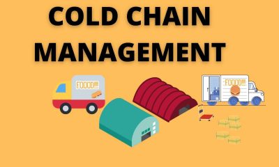 Food Cold Chains