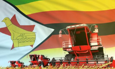 Zimbabwe wheat harvest agricultural production year