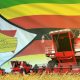 Zimbabwe wheat harvest agricultural production year