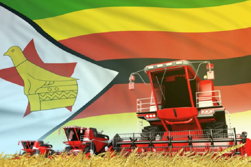 Zimbabwe wheat harvest agricultural production year